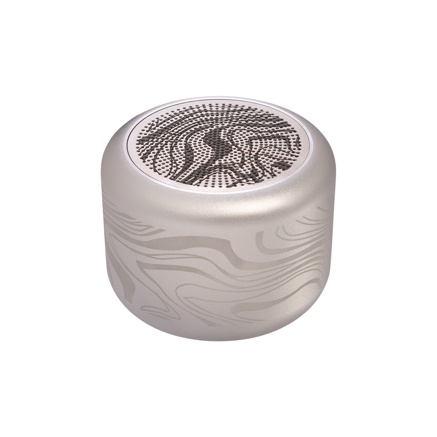 Беспроводная колонка Пэшн (Passion) 80dB 600 mAh (Bluetooth 5.4), серебряная