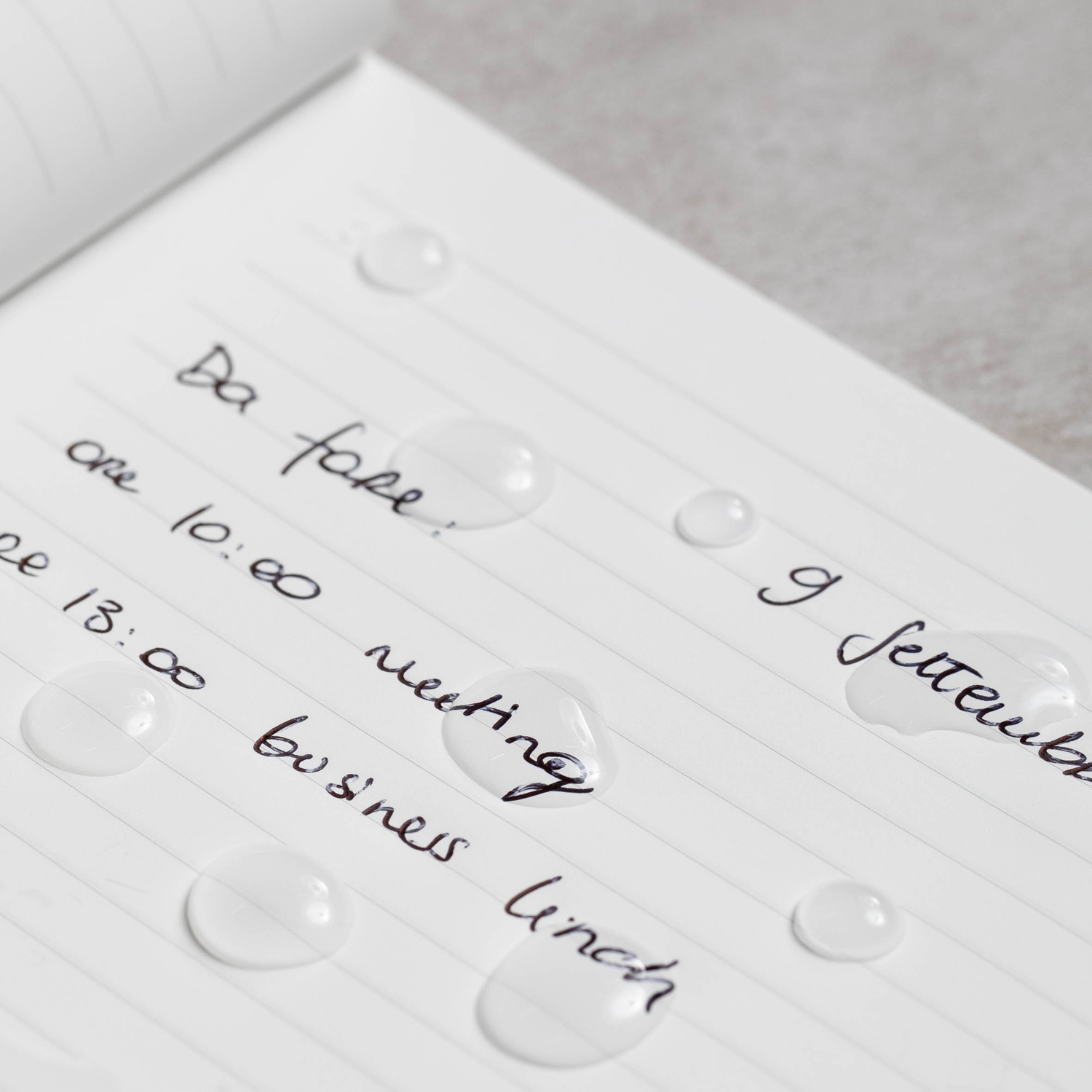 Блокнот линованный Pininfarina ITALIAN BEAUTY ROMA из каменной бумаги, А5