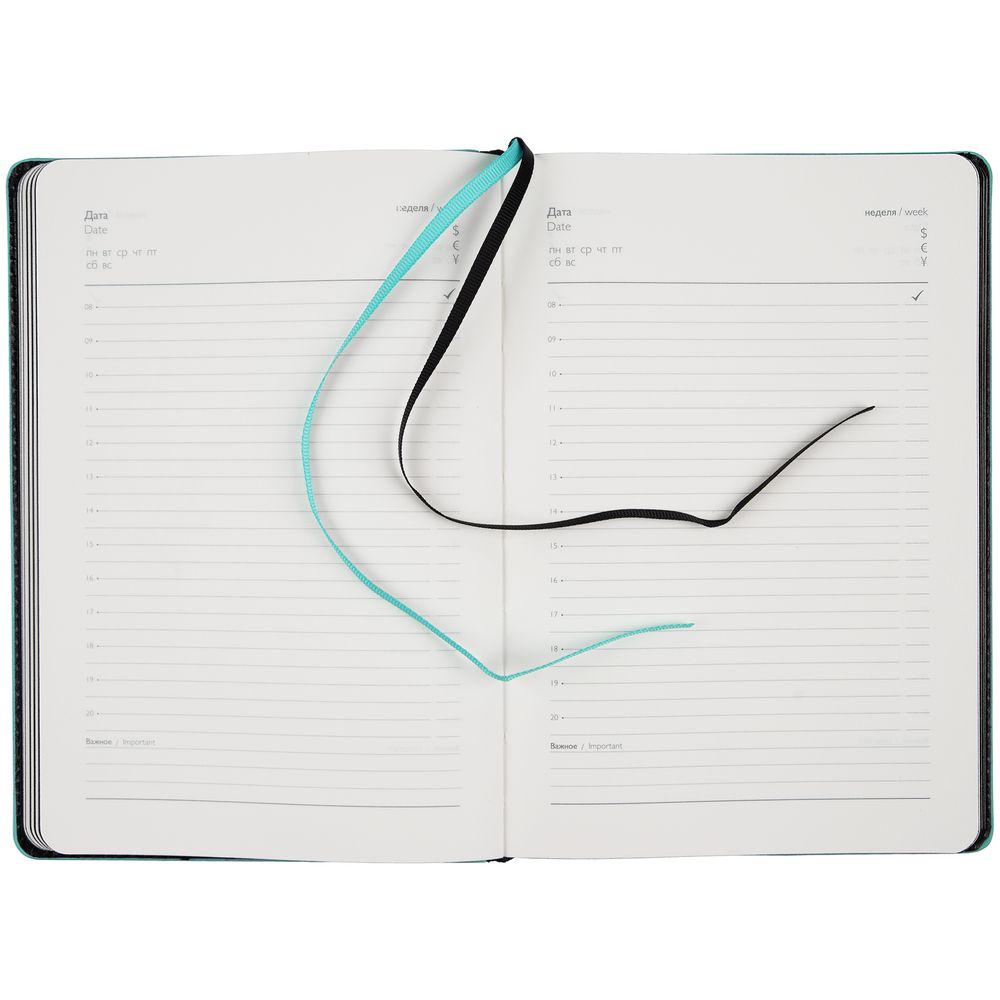 Ежедневник Alanis, недатированный, черный с голубым