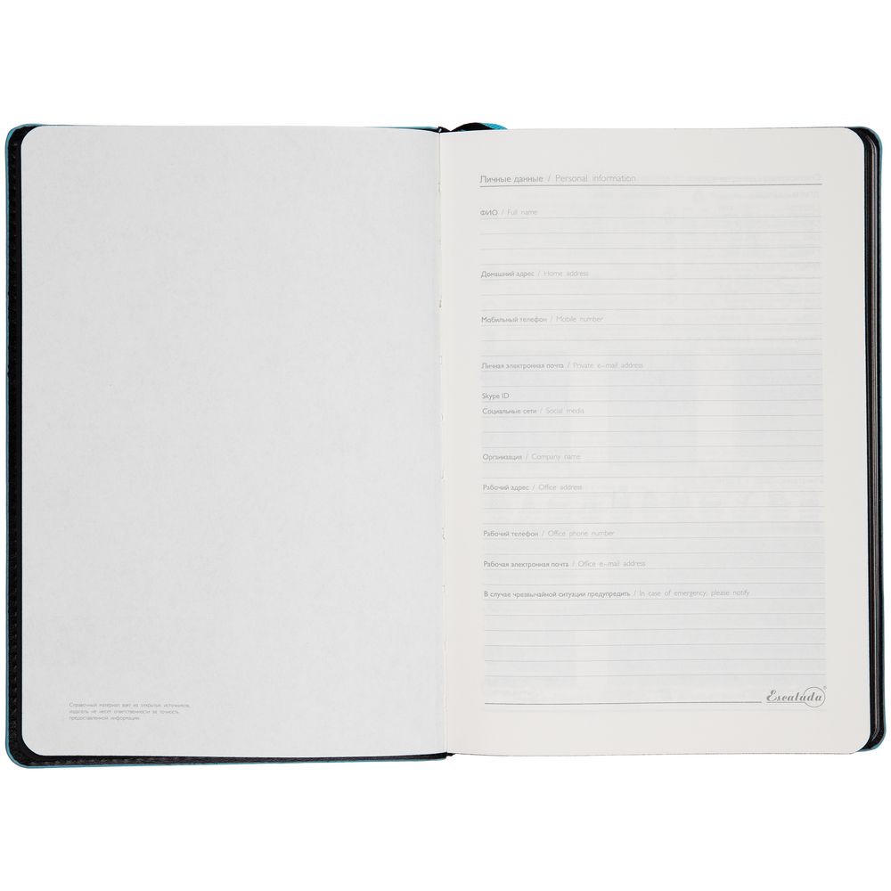 Ежедневник Alanis, недатированный, черный с голубым