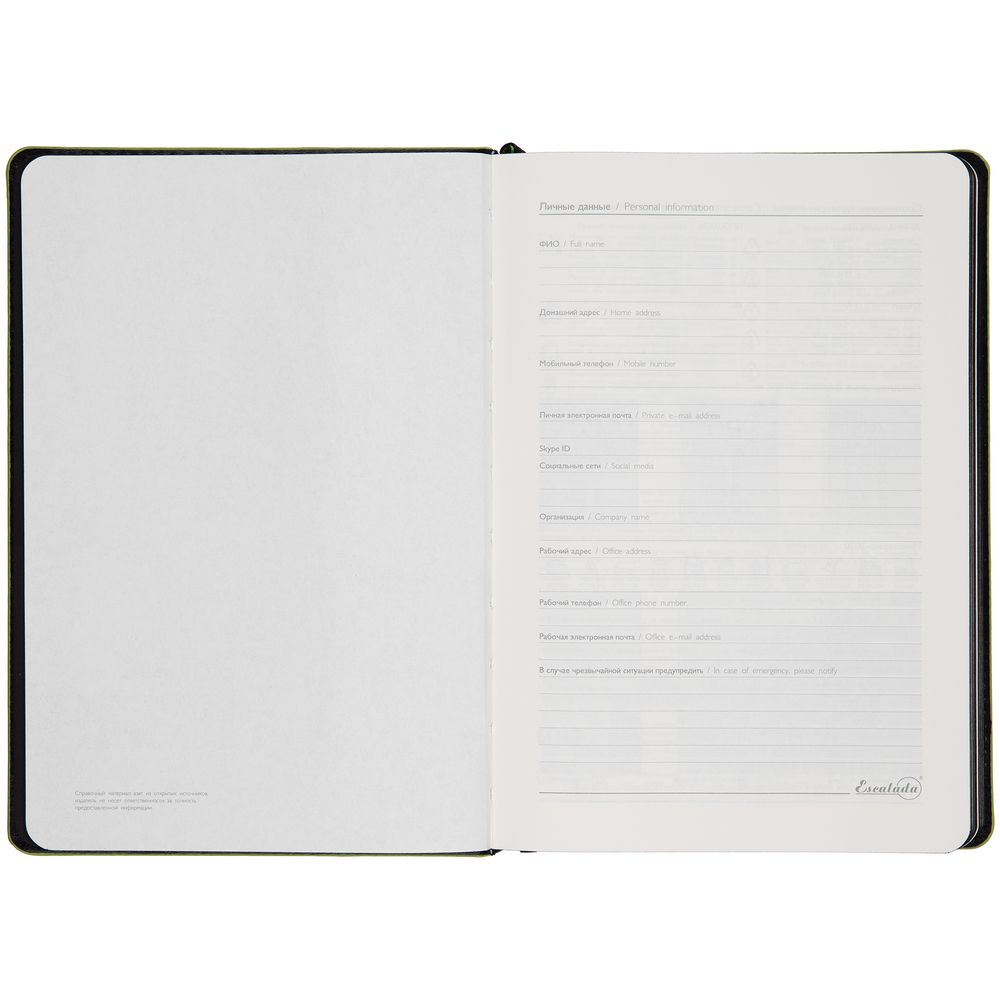 Ежедневник Alanis, недатированный, черный с зеленым