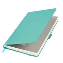 Ежедневник Альфа (Alpha) недатированный, бирюзовый/серый