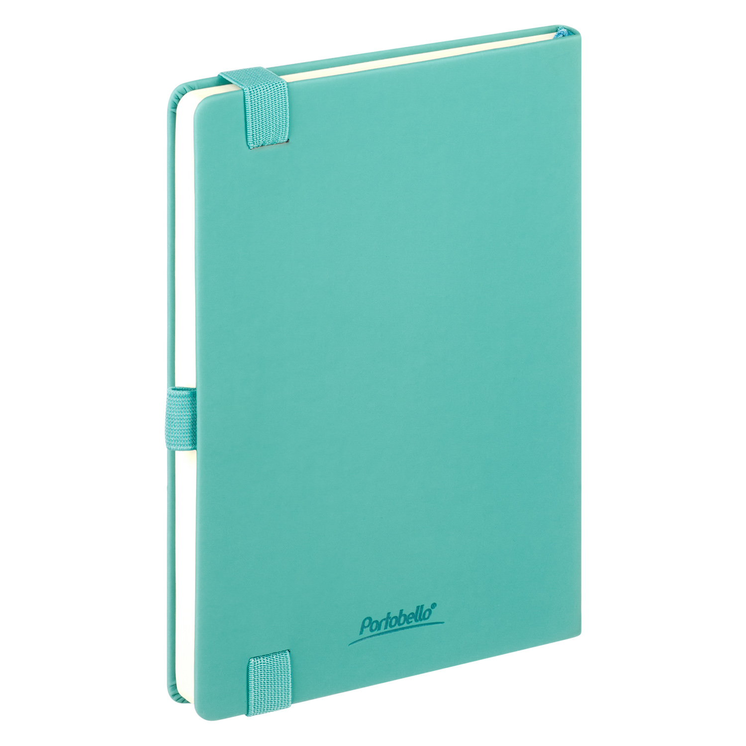 Ежедневник Альфа (Alpha) недатированный, бирюзовый/серый