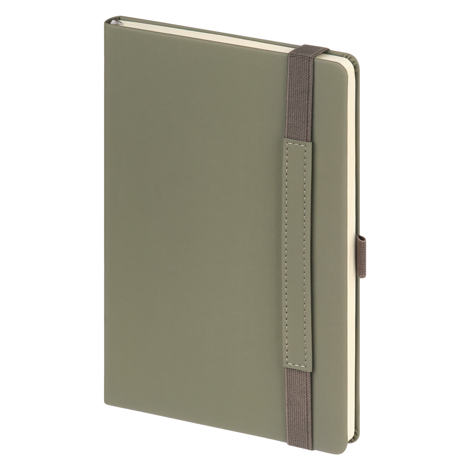 Ежедневник Альфа (Alpha) недатированный, серый/бирюзовый