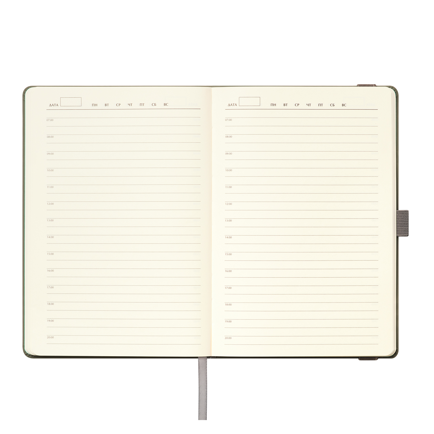 Ежедневник Альфа (Alpha) недатированный, серый/бирюзовый