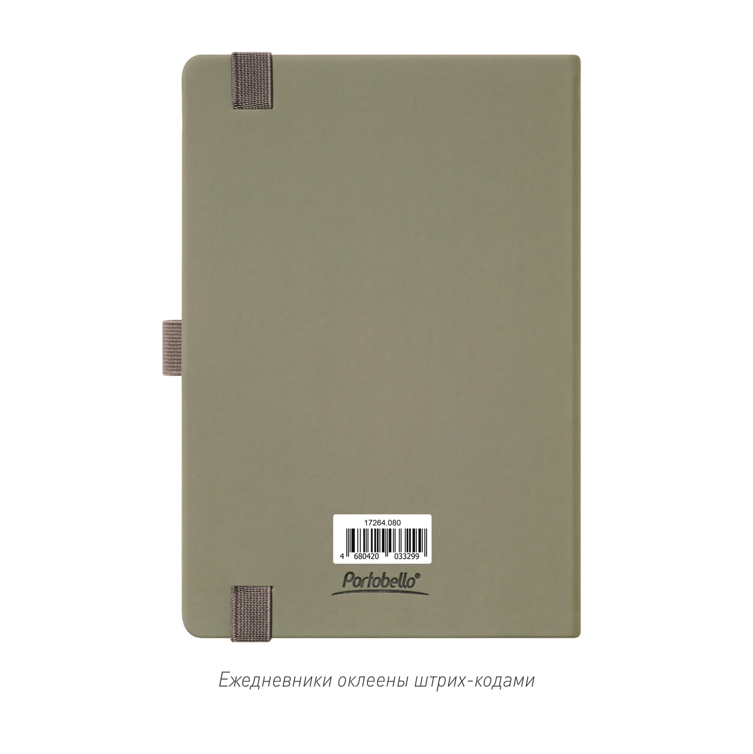 Ежедневник Альфа (Alpha) недатированный, серый/бирюзовый