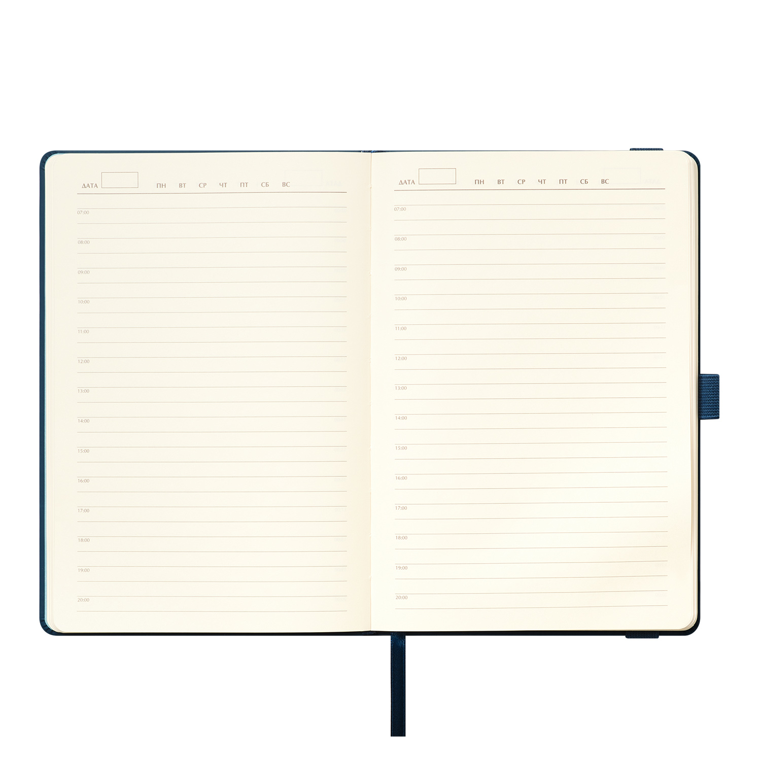 Ежедневник Альфа (Alpha) недатированный, синий/голубой