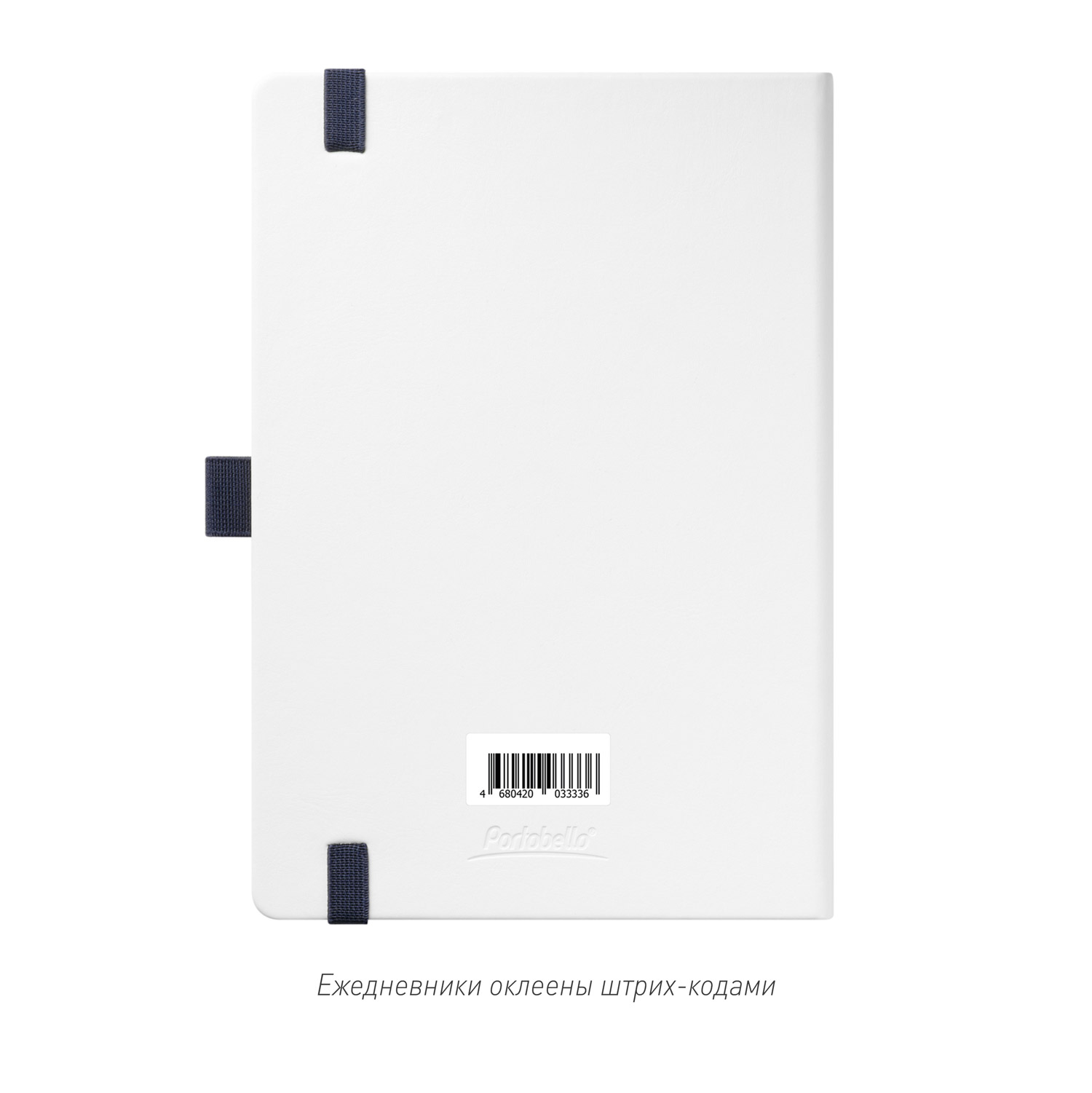 Ежедневник Арктик (Arctic) недатированный, белый/синий