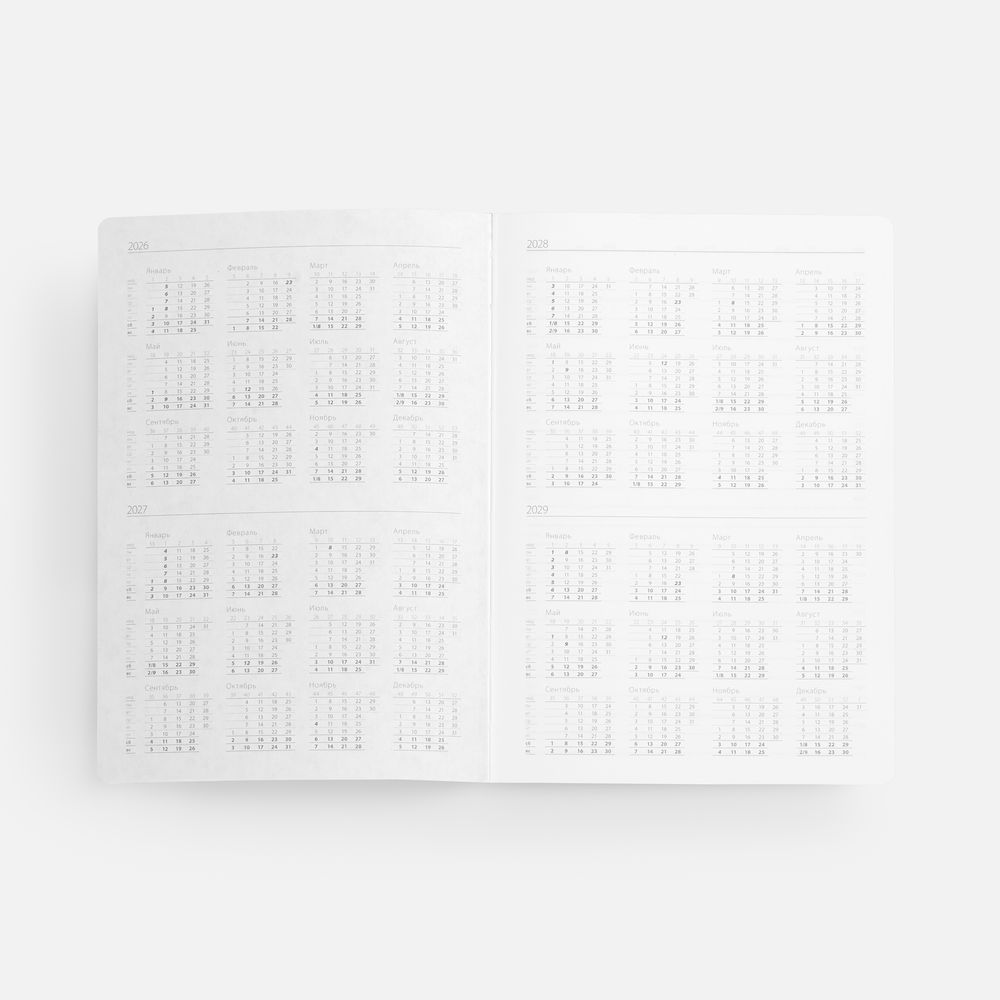 Ежедневник Flexpen, недатированный, серебристо-оранжевый