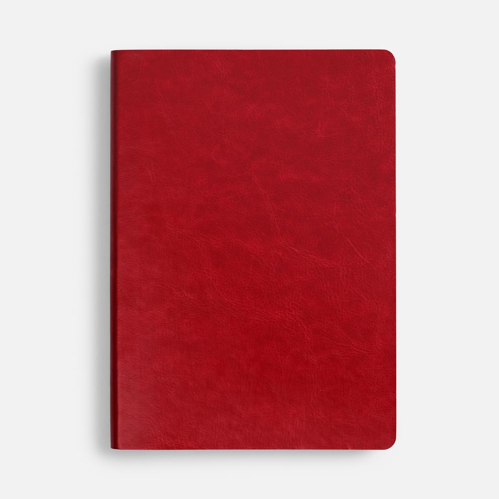 Ежедневник Nebraska Flex, недатированный, красный с золотистым