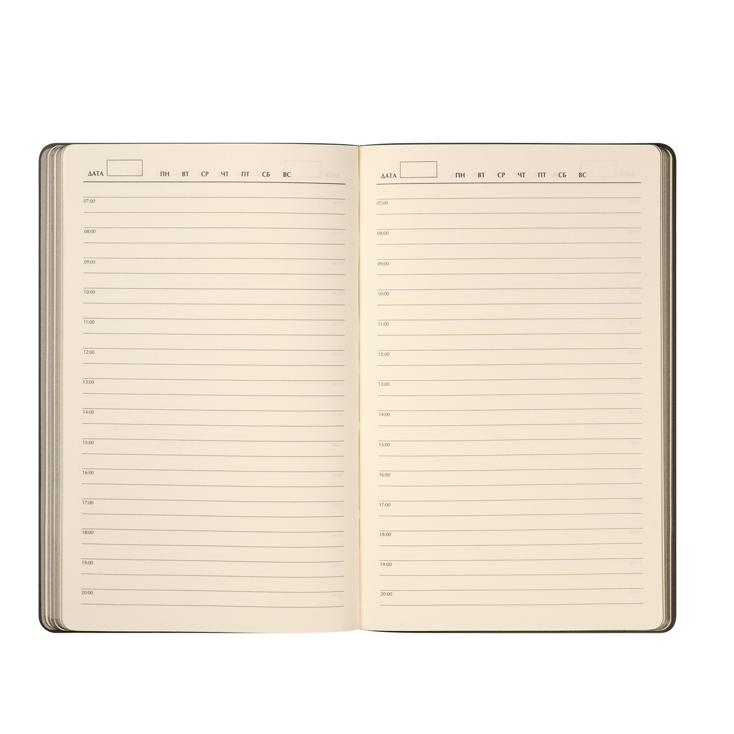 Ежедневник Рейн (Rain) недатированный, черный (без упаковки, без стикера)