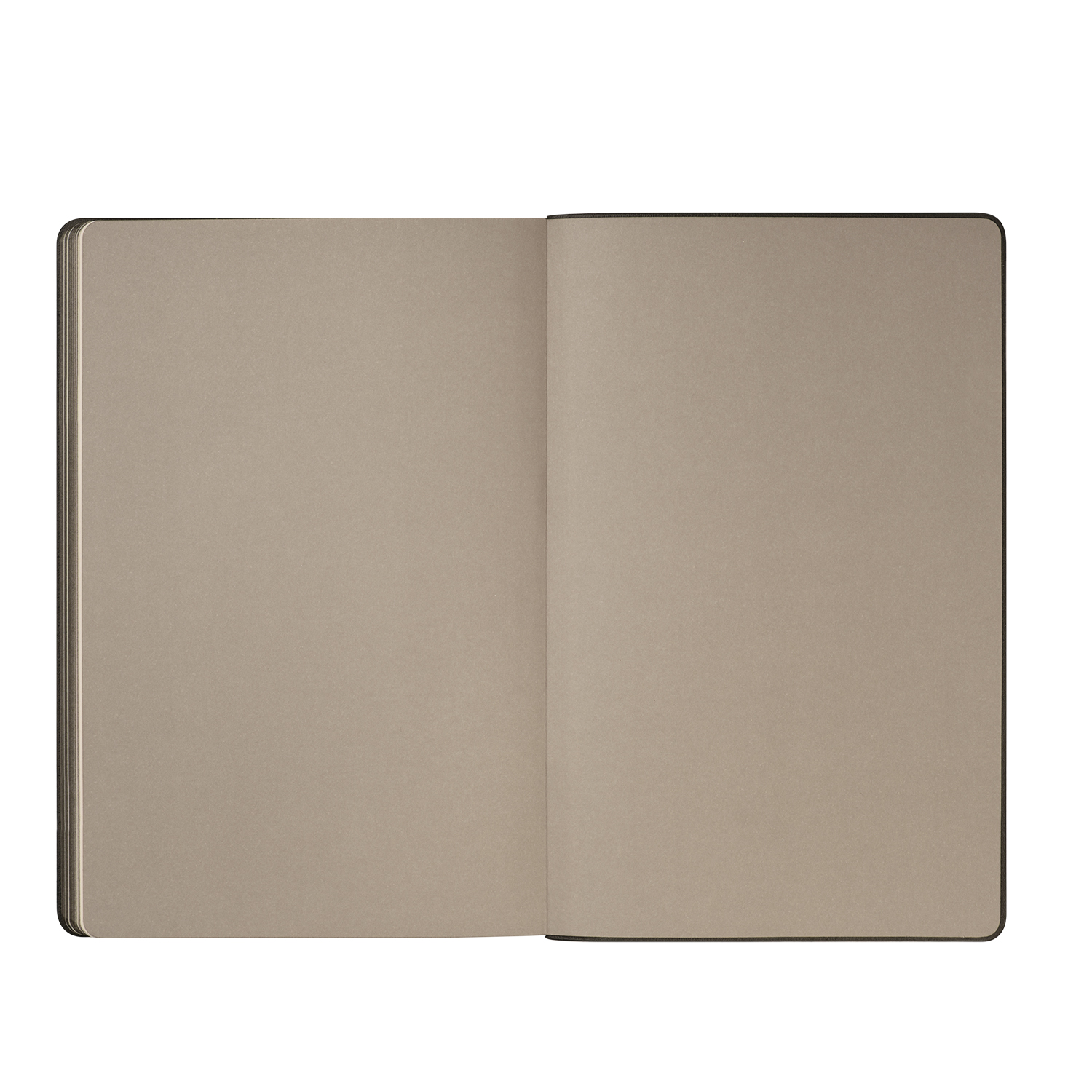 Ежедневник Рейн (Rain) недатированный, черный (без упаковки, без стикера)