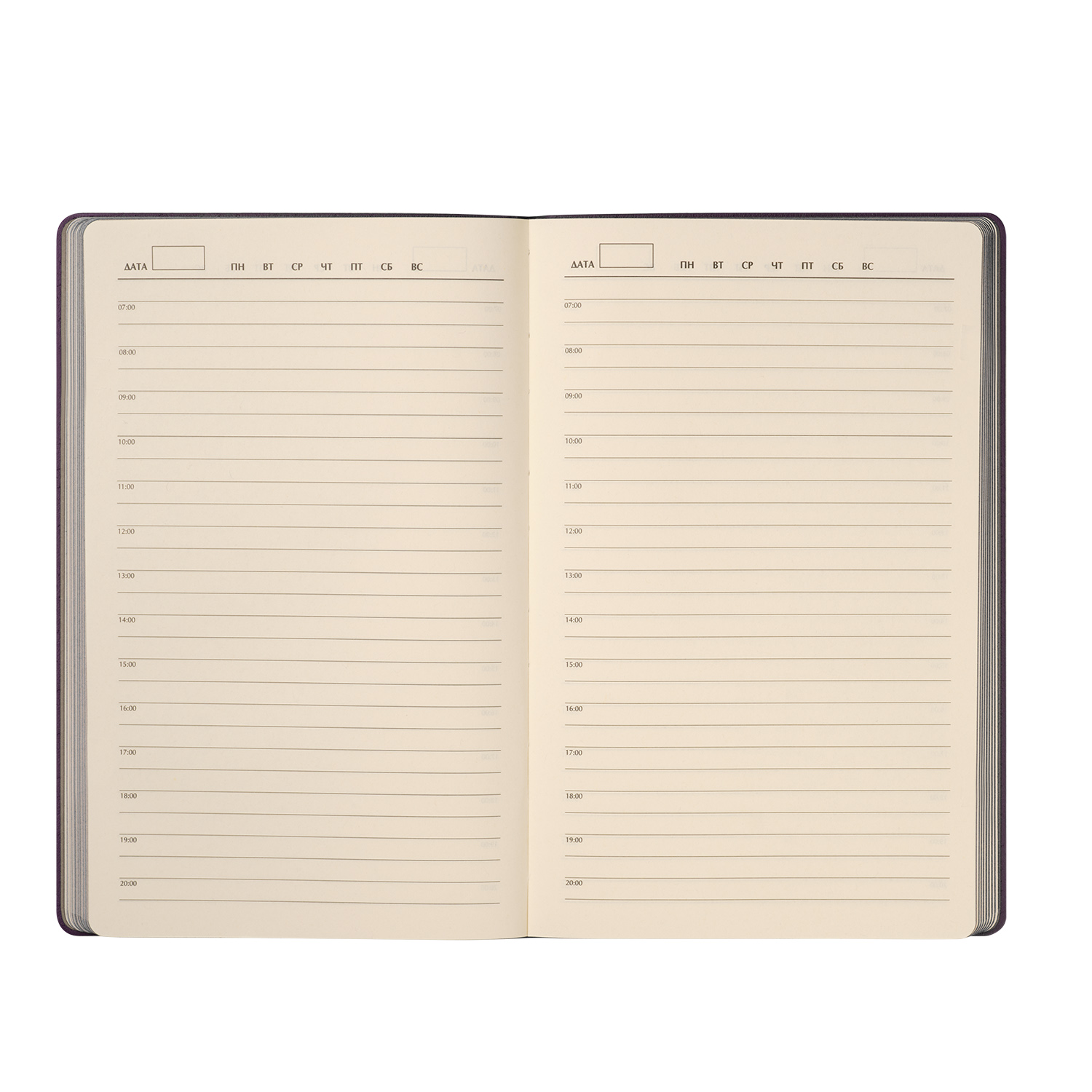 Ежедневник Рейн (Rain) недатированный, фиолетовый