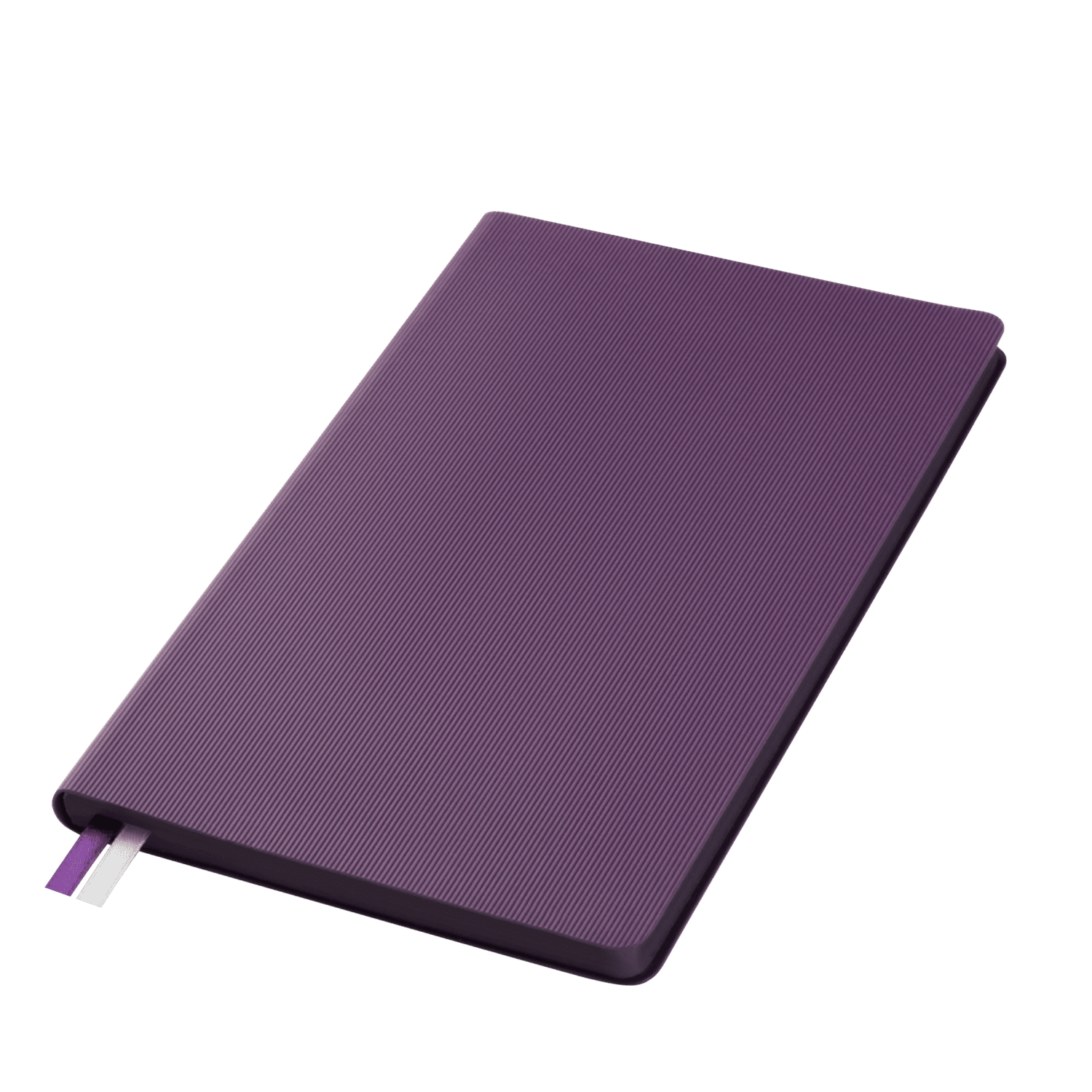 Ежедневник Рейн (Rain) недатированный, фиолетовый (без упаковки, без стикера)