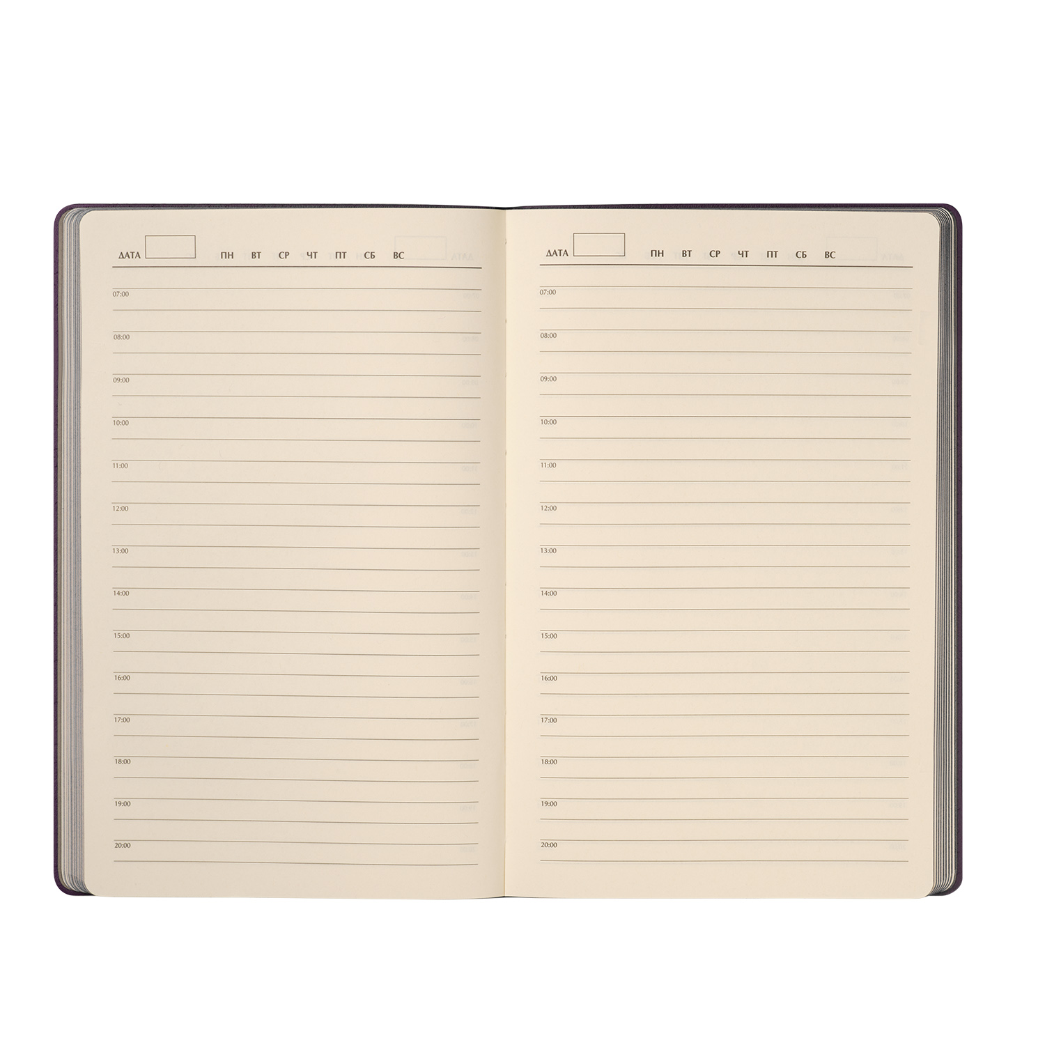 Ежедневник Рейн (Rain) недатированный, фиолетовый (без упаковки, без стикера)