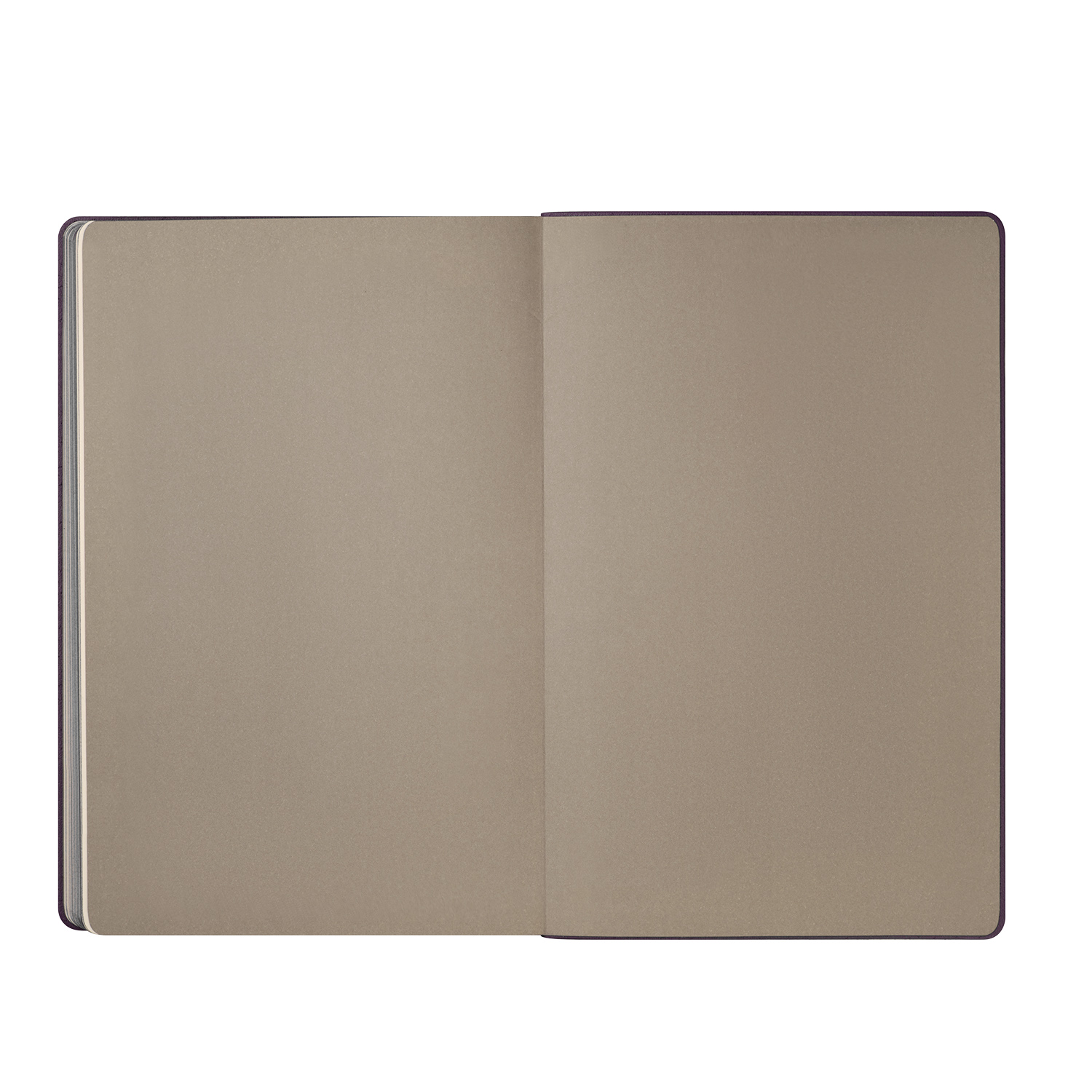 Ежедневник Рейн (Rain) недатированный, фиолетовый (без упаковки, без стикера)