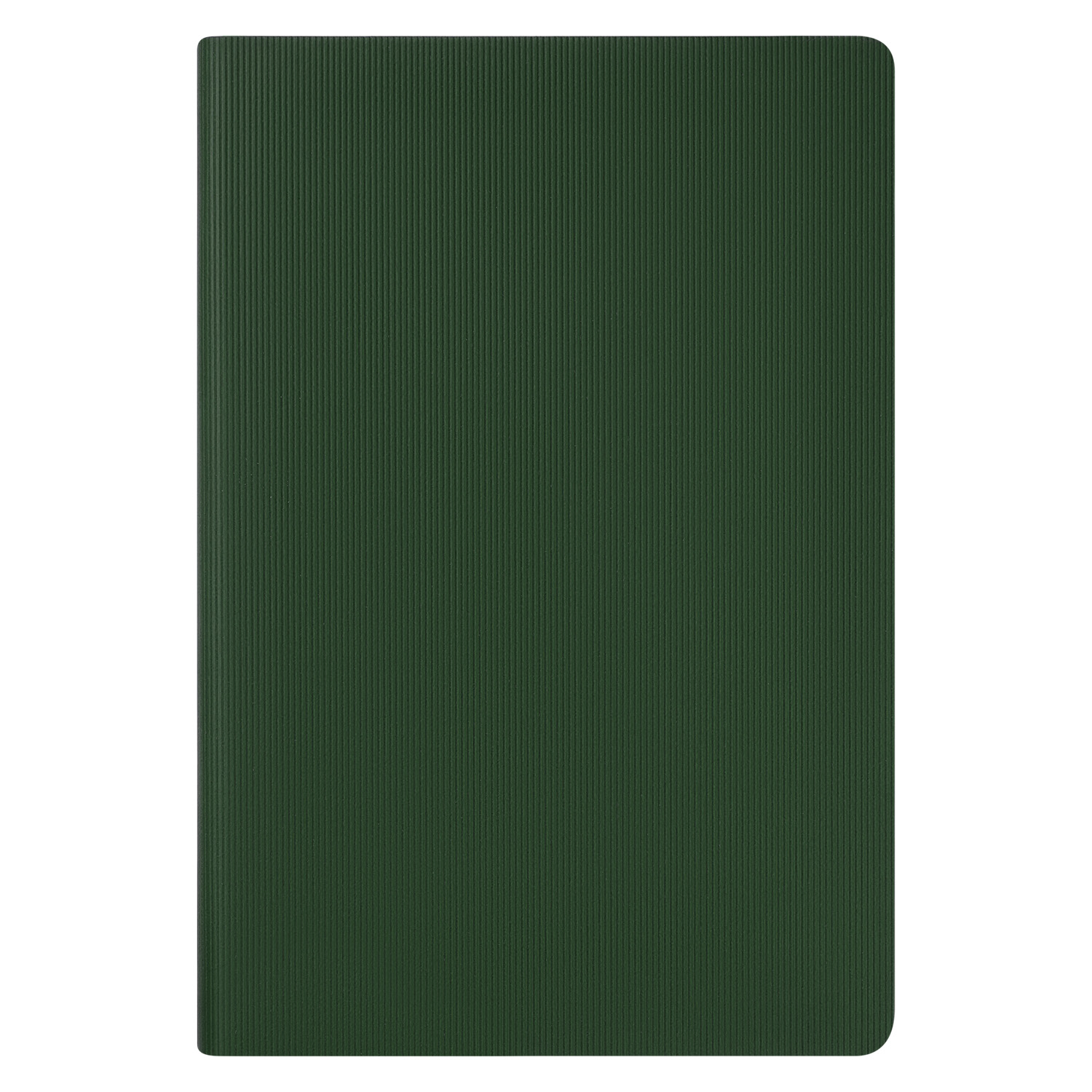 Ежедневник Рейн (Rain) недатированный, зеленый