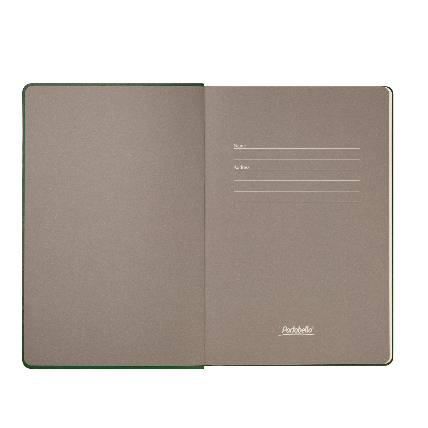 Ежедневник Рейн (Rain) недатированный, зеленый