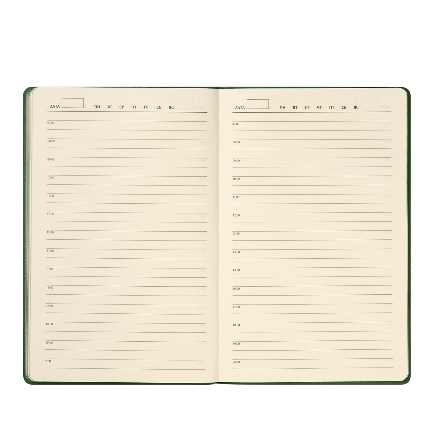 Ежедневник Рейн (Rain) недатированный, зеленый