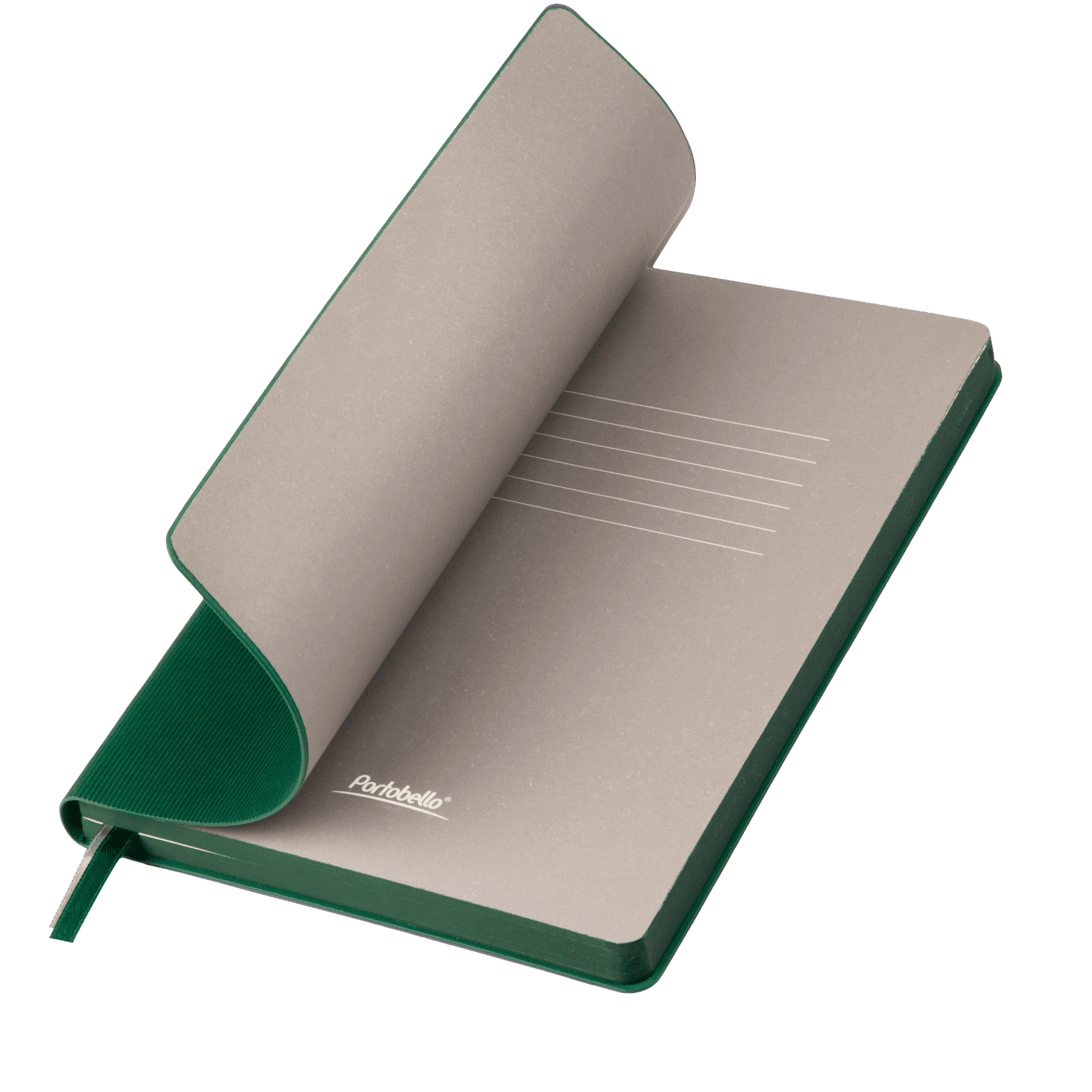 Ежедневник Рейн (Rain) недатированный, зеленый (без упаковки, без стикера)