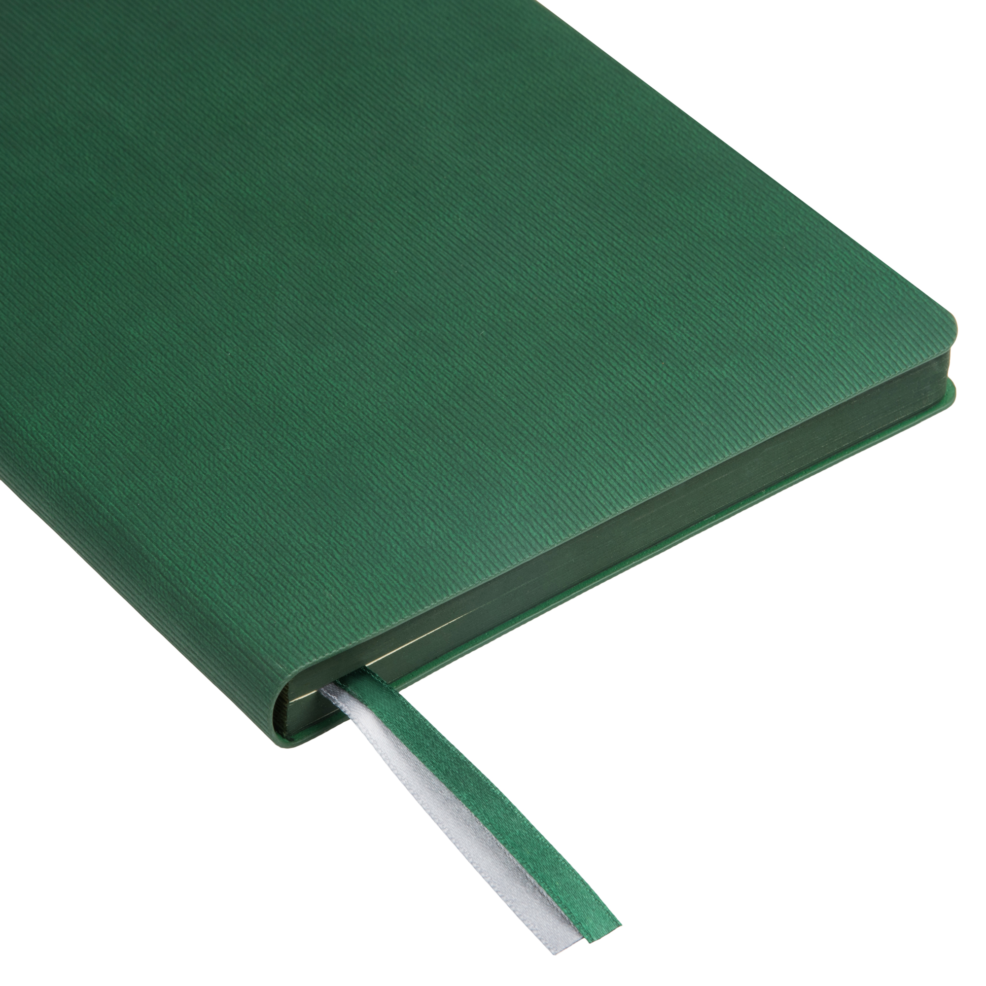 Ежедневник Рейн (Rain) недатированный, зеленый (без упаковки, без стикера)