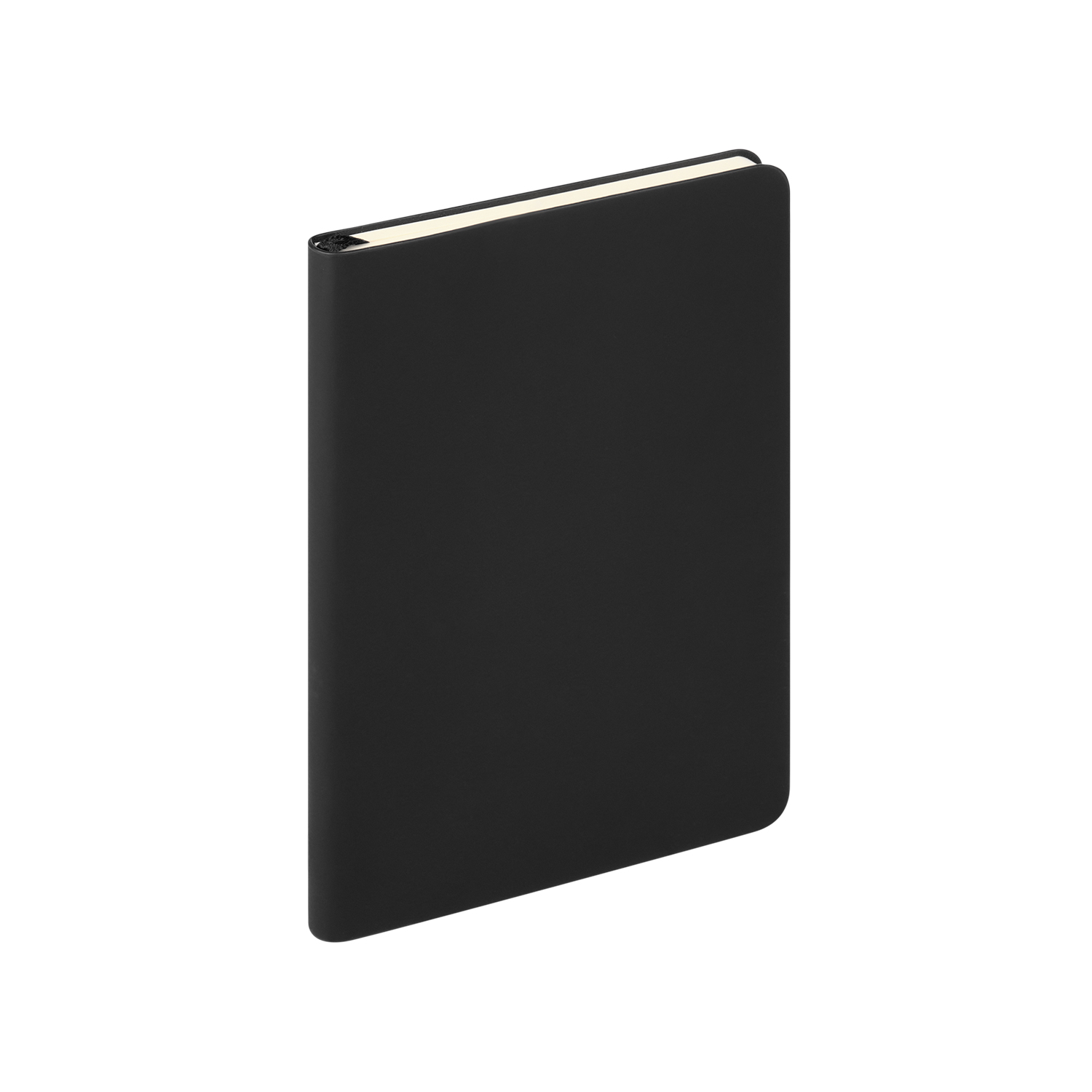 Ежедневник Спарк мини (Spark mini) A6 недатированный, черный