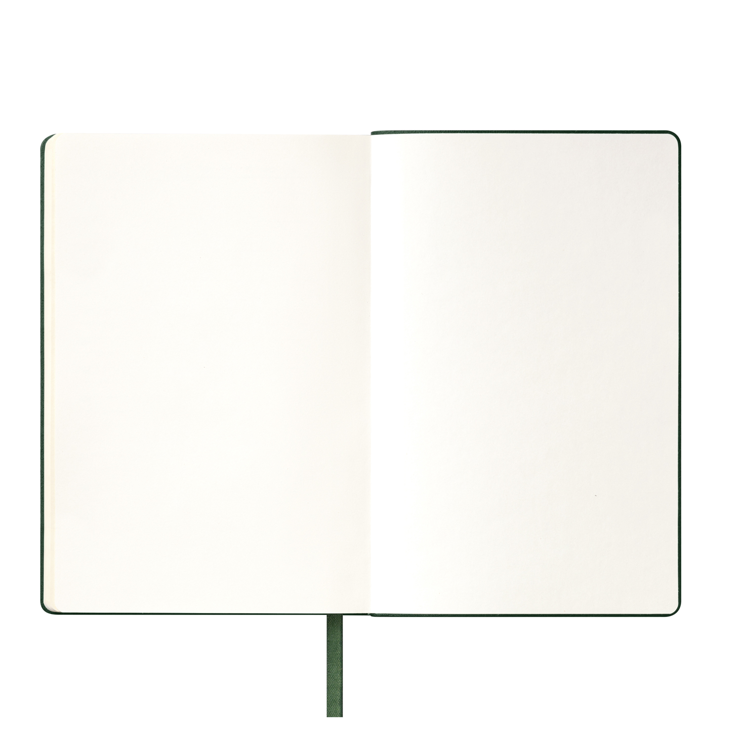 Ежедневник Спарк (Spark) недатированный, зеленый (без упаковки, без стикера)