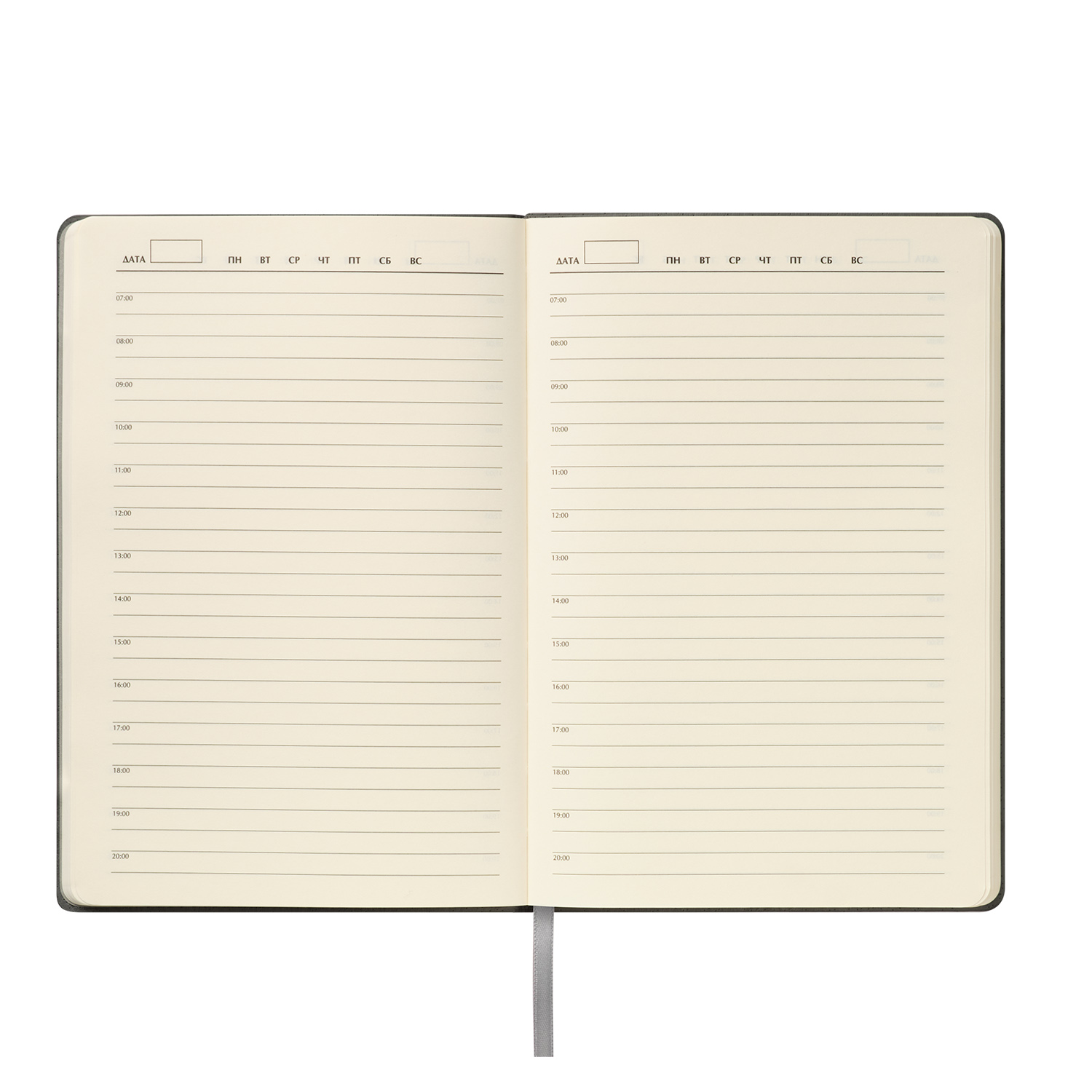 Ежедневник Теоло (Teolo) недатированный, серый