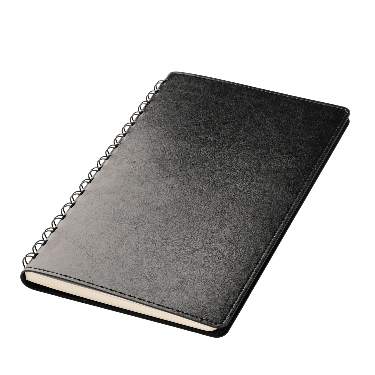 Ежедневник Виста Нео (Vista Neo) недатированный, черный