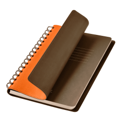 Ежедневник Виста (Vista) недатированный, оранжевый/коричневый