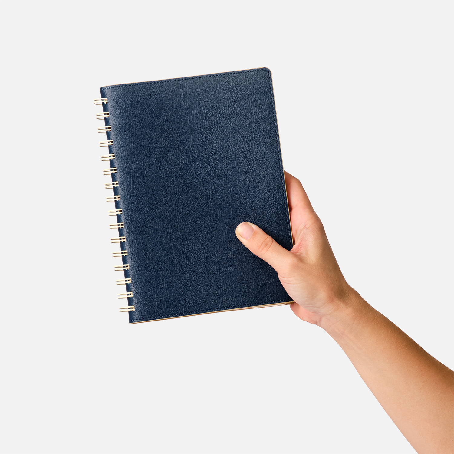 Ежедневник Виста (Vista) недатированный, синий/бежевый