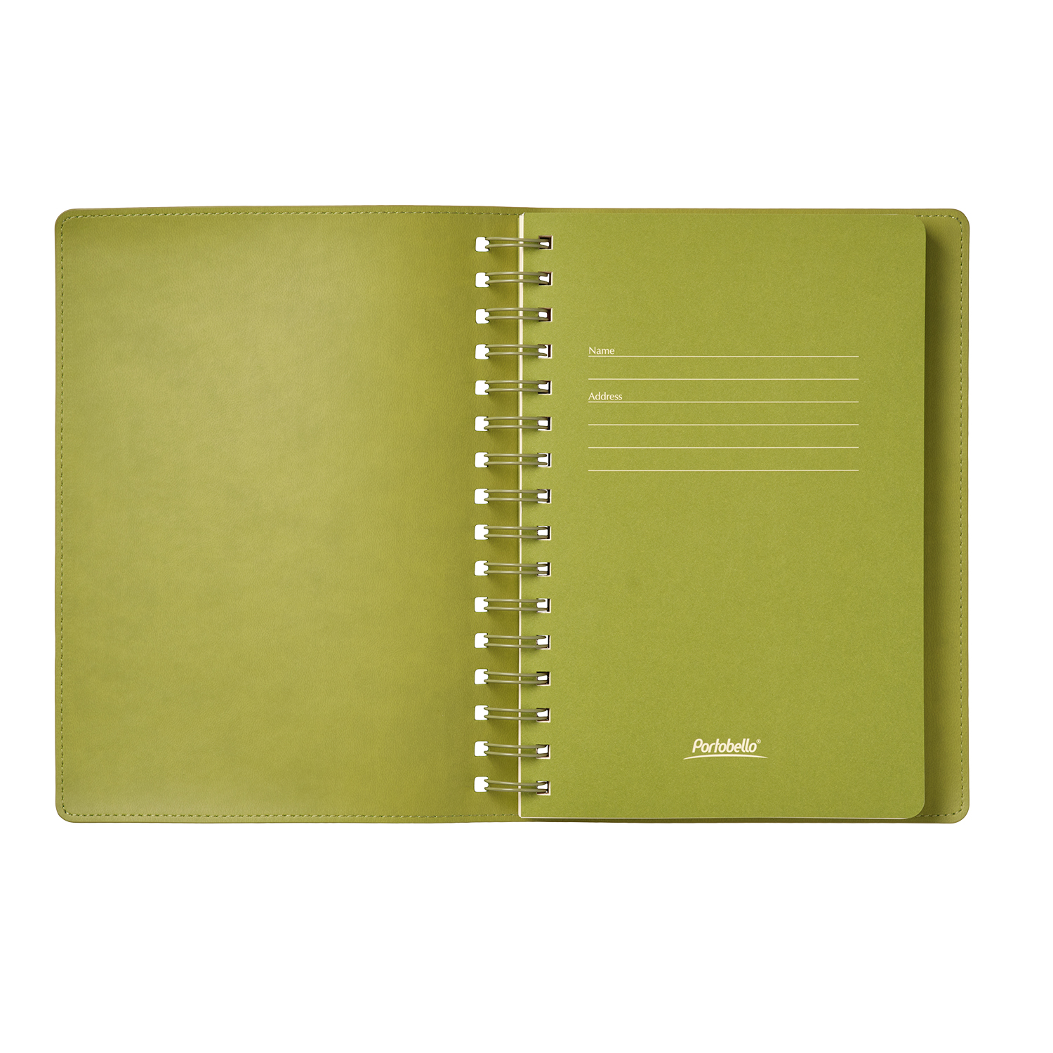 Ежедневник Виста (Vista) недатированный, зеленый/салатовый