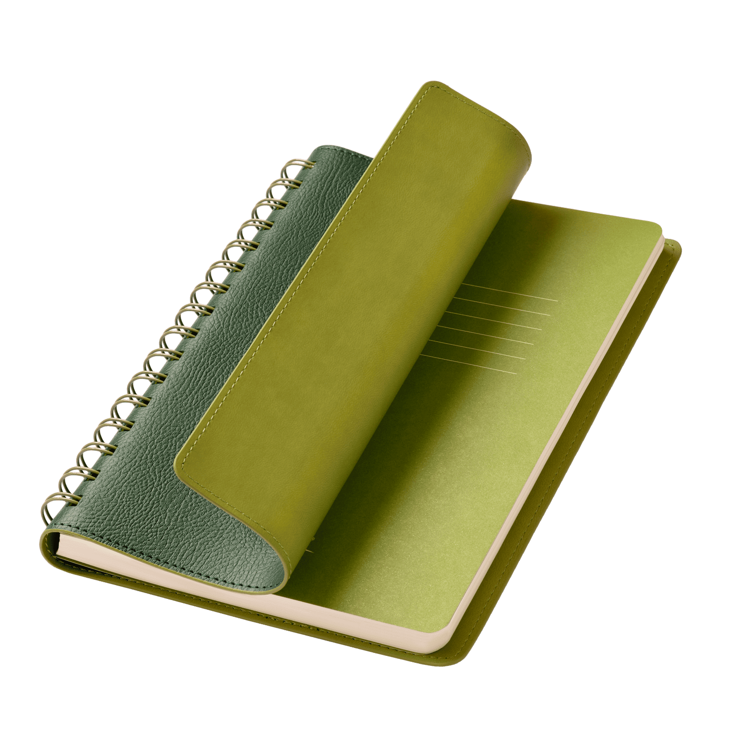 Ежедневник Виста (Vista) недатированный, зеленый/салатовый