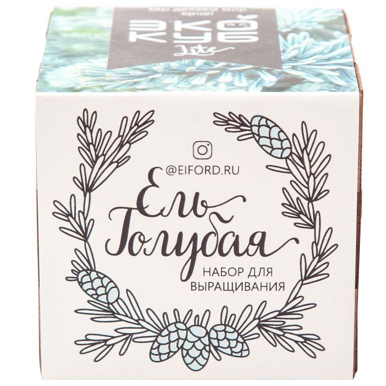 Набор для выращивания «Экокуб Lite», ель голубая