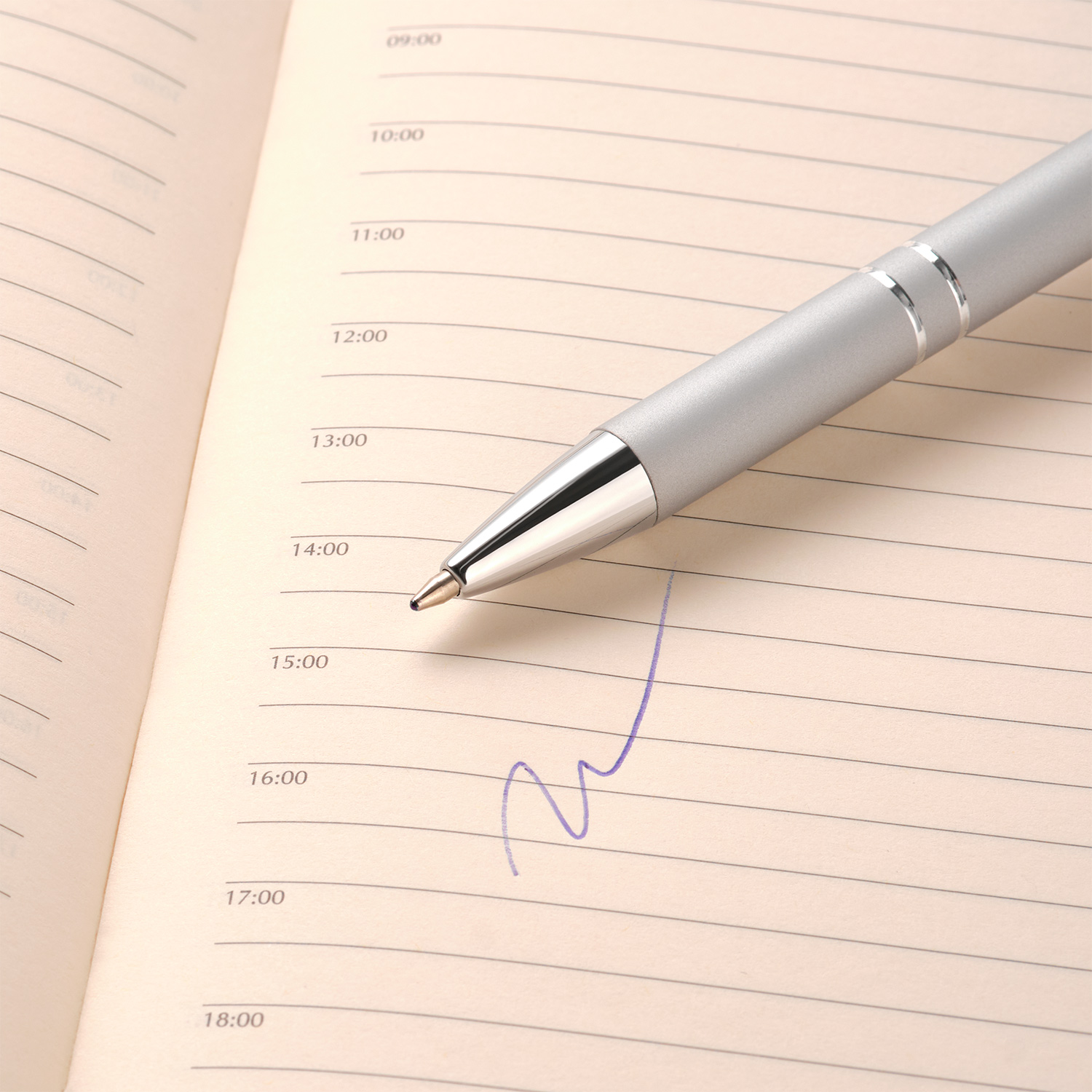 Шариковая ручка Альфа (Alpha), серебряная