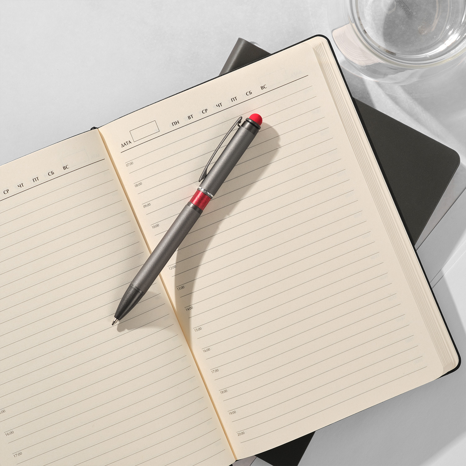 Шариковая ручка АйПи Хамелеон (IP Chameleon), красная