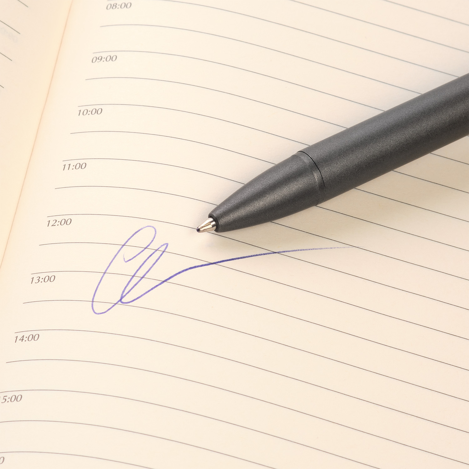 Шариковая ручка АйПи Хамелеон (IP Chameleon), синяя