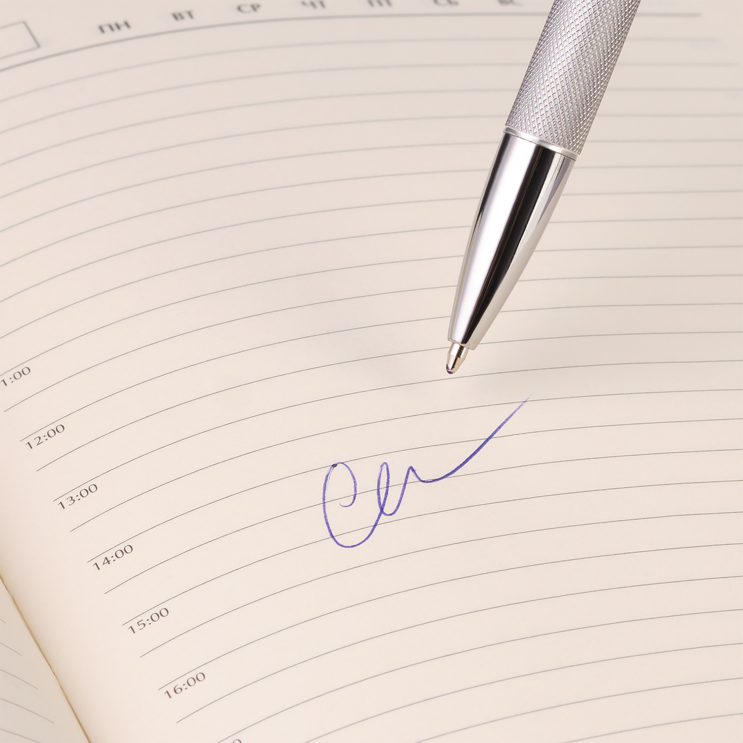 Шариковая ручка Леви (Levi), серая