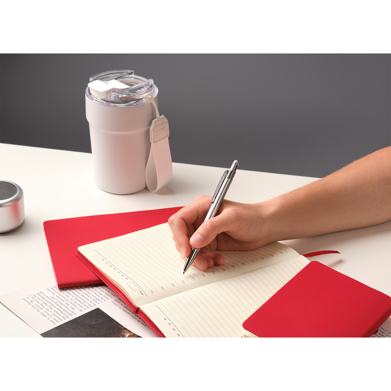 Шариковая ручка Леви (Levi), серая