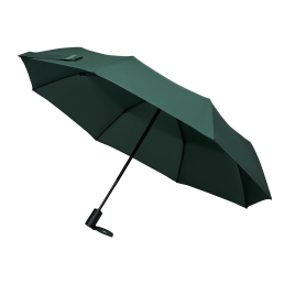 Зонт складной Пассат (Passat), зеленый