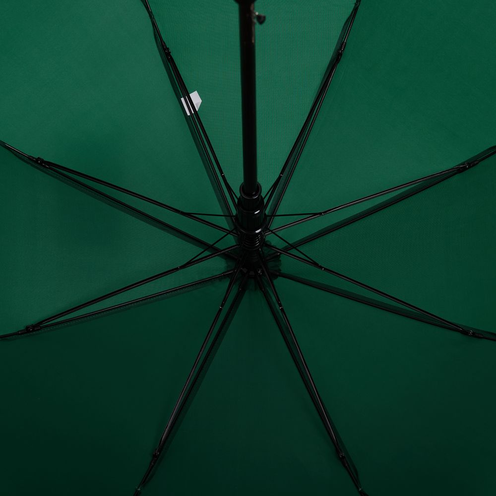 Зонт-трость Standard, зеленый
