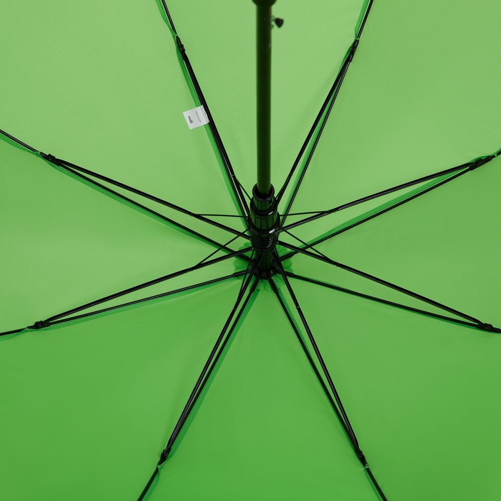 Зонт-трость Standard, зеленое яблоко